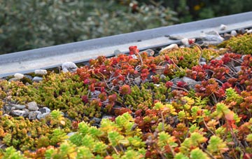 the cost of Swanston green roof installation