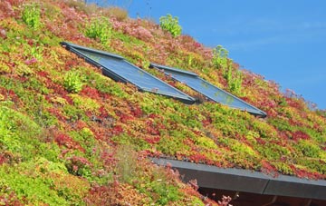 Swanston living roof systems