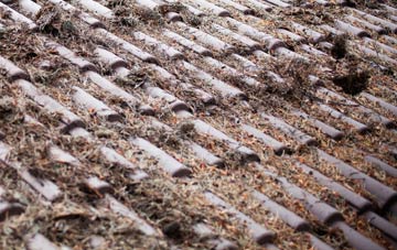 Swanston roof cleaning companies