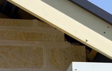 soffit repair Swanston
