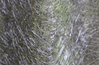 Swanston fibreglass roof work