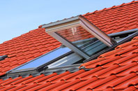 Swanston roof window