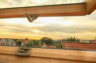 rated Swanston roof window companies